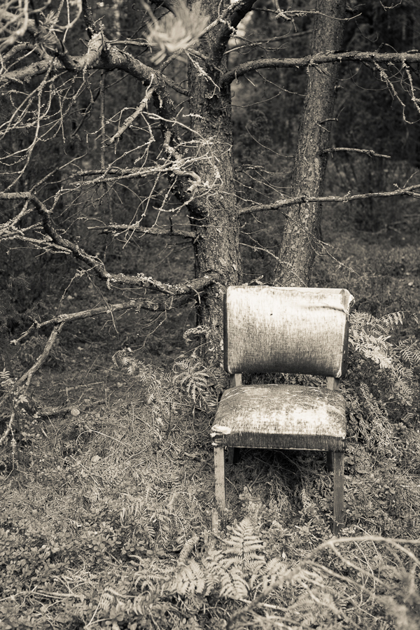 en stol i skogen