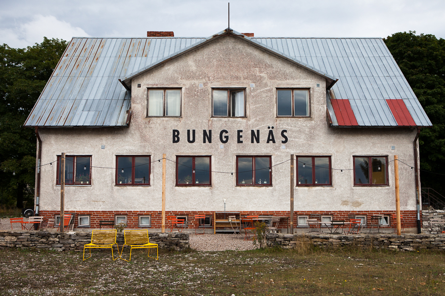 bungenas-3